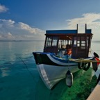 SummerIsland - 2.jpeg