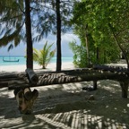 SummerIsland - 6.jpeg