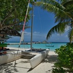 SummerIsland - 7.jpeg