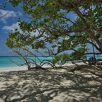 SummerIsland - 8.jpeg