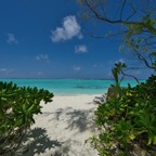 SummerIsland - 18.jpeg
