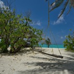 SummerIsland - 20.jpeg