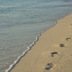SummerIsland - 30.jpeg
