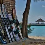 SummerIsland - 31.jpeg