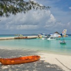 SummerIsland - 65.jpeg