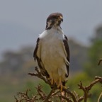 Tansania - 9.jpg
