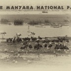 Tansania - 15.jpg