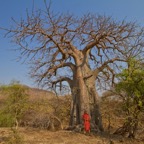 Tansania - 20.jpg