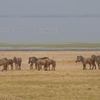 Tansania - 30.jpg