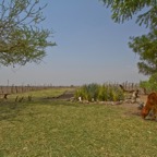 Tansania - 45.jpg