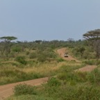 Tansania - 55.jpg