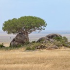 Tansania - 66.jpg
