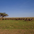Tansania - 77.jpg