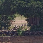 Tansania - 86.jpg