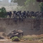 Tansania - 89.jpg