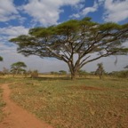 Tansania - 95.jpg