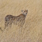 Tansania - 97.jpg