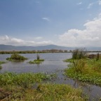 Tansania - 109.jpg