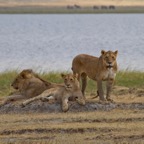 Tansania - 110.jpg
