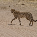 Tansania - 126.jpg