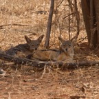 Tansania - 128.jpg