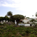 Teneriffa52.jpg