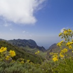 Teneriffa55.jpg