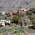 Teneriffa58.jpg