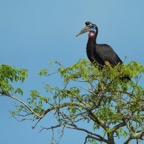 Uganda_2019 - 14.jpeg