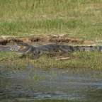 Uganda_2019 - 28.jpeg