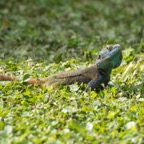 Uganda_2019 - 39.jpeg