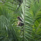 Uganda_2019 - 54.jpeg