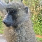 Uganda_2019 - 57.jpeg