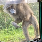 Uganda_2019 - 58.jpeg