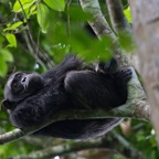 Uganda_2019 - 63.jpeg