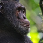 Uganda_2019 - 66.jpeg
