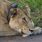 Uganda_2019 - 91.jpeg