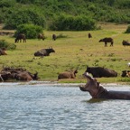 Uganda_2019 - 102.jpeg