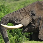Uganda_2019 - 104.jpeg