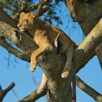 Uganda_2019 - 122.jpeg