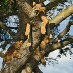 Uganda_2019 - 124.jpeg