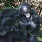 Uganda_2019 - 147.jpeg