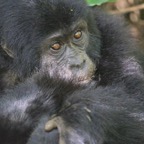 Uganda_2019 - 150.jpeg