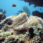 Vilamendhoo05.jpg
