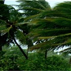 Vilamendhoo17.jpg
