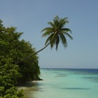 Vilamendhoo34.jpg