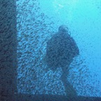 Vilamendhoo37.jpg