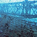 Vilamendhoo38.jpg