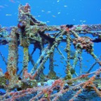 Vilamendhoo39.jpg