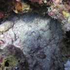 Vilamendhoo44.jpg